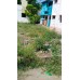 Residential Land @ Vellalore