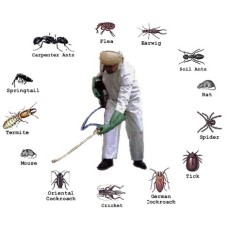 PEST CONTROL SERVICES