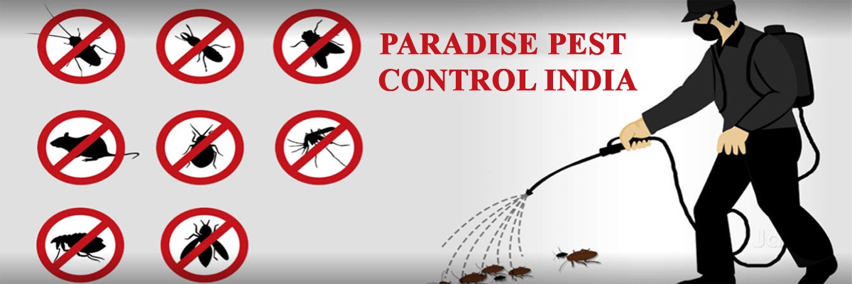 Paradise Pest Control India Pvt.Ltd